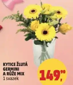 Penny Market Kytice žlutá germini a růže mix nabídka