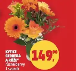 Penny Market Kytice gerbera a růže nabídka
