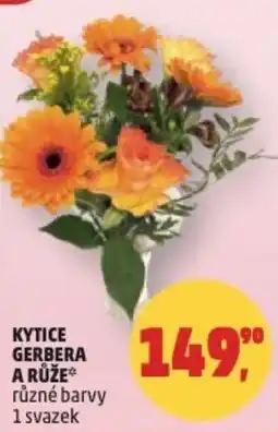 Penny Market Kytice gerbera a růže nabídka