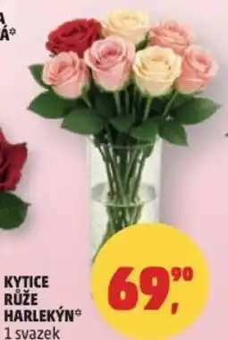 Penny Market Kytice růže harlekỳn nabídka