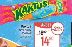 Globus Kaktus nabídka