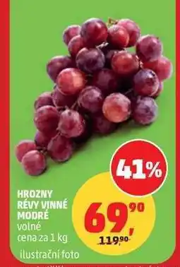 Penny Market HROZNY RÉVY VINNÉ MODRÉ nabídka