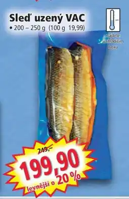 Norma Sleď uzený VAC nabídka