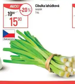 Globus CIBULKA LAHŮDKOVÁ nabídka