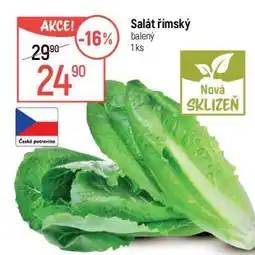Globus Salát římský nabídka