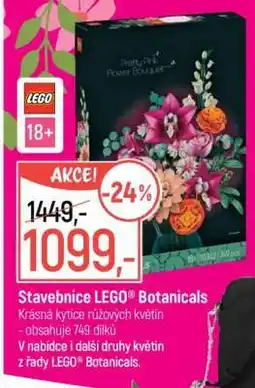Globus Stavebnice LEGO Botanicals nabídka