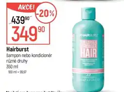 Globus Hairburst nabídka