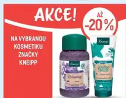 Globus Na vybranou kosmetiku značky kneipp nabídka