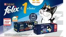 Globus Felix kapsičky pro kočky nabídka