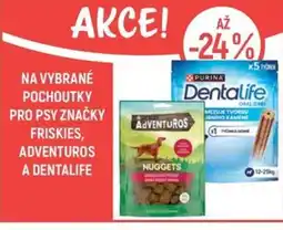 Globus Na vybrané pochoutky pro psy značky Friskies, Adventuros nabídka