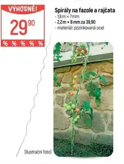 Globus Spirály na fazole a rajčata nabídka