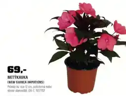 OBI Netýkavka nabídka