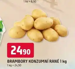 Trefa BRAMBORY KONZUMNÍ RANÉ nabídka