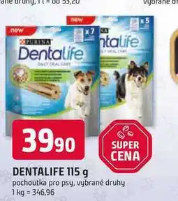 Trefa Dentalife nabídka