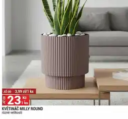 Merkury Market Květináč milly round nabídka
