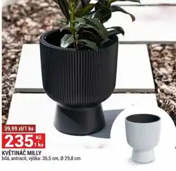Merkury Market Květináč milly nabídka
