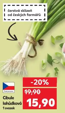 Kaufland Cibule lahůdková nabídka