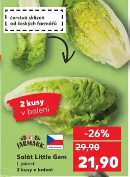 Kaufland Salát Little Gem nabídka