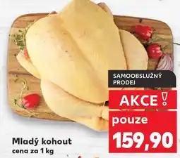 Kaufland Mladý kohout nabídka
