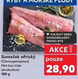 Kaufland Sumeček africký nabídka