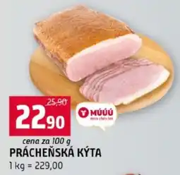 Terno Prácheňská kýta nabídka