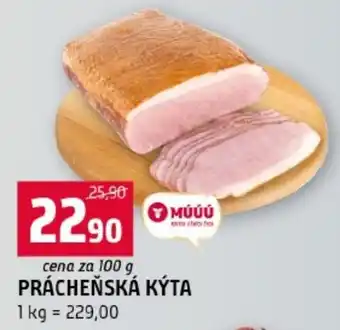 Terno Prácheňská kýta nabídka