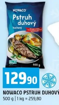 Terno Nowaco pstruh duhový nabídka