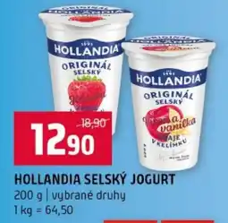 Terno Hollandia selský jogurt nabídka