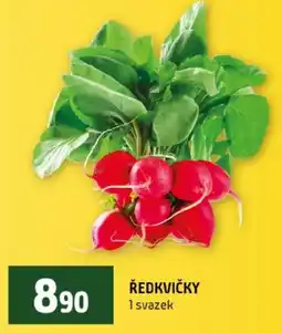 Terno Ředkvičky nabídka