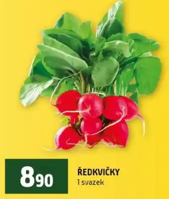 Terno Ředkvičky nabídka