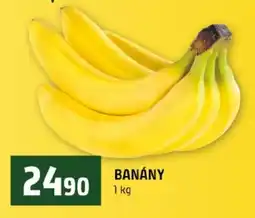 Terno Banány nabídka