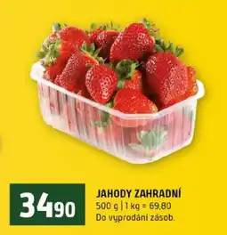 Terno Jahody zahradní nabídka