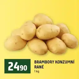 Terno Brambory konzumní rané nabídka