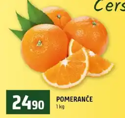 Terno Pomeranče nabídka