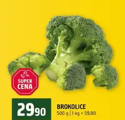 Terno Brokolice nabídka