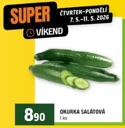 Terno Okurka salátová nabídka
