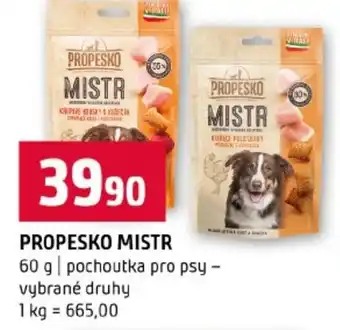 Terno Propesko mistr nabídka