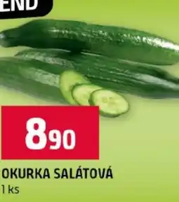 Terno Okurka salátová nabídka