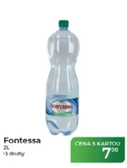 Tamda Foods FONTESSA nabídka