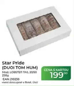 Tamda Foods Star Pride (DUOI TOM HUM) Mraz. LOBSTER TAIL 20/50 nabídka