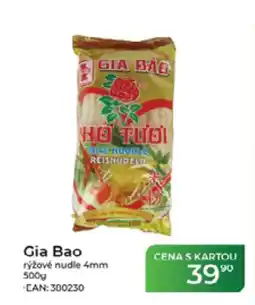 Tamda Foods Gia Bao rýžové nudle 4mm nabídka
