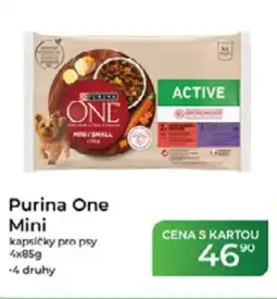Tamda Foods Purina One Mini kapsičky pro psy nabídka