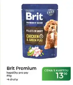 Tamda Foods Brit Premium kapsičky pro psy nabídka