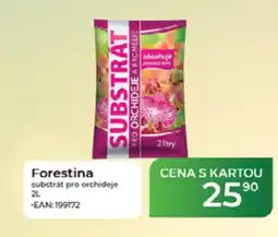 Tamda Foods Forestina substrát pro orchideje nabídka
