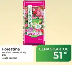Tamda Foods Forestina substrat pro muskaty nabídka