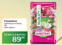 Tamda Foods Forestina substrát pro muškáty nabídka