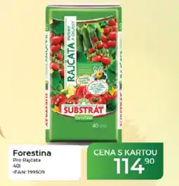 Tamda Foods Forestina Pro Rajčata nabídka