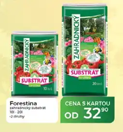 Tamda Foods Forestina zahradnický substrát nabídka