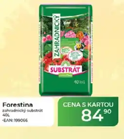 Tamda Foods Forestina zahradnický substrát nabídka