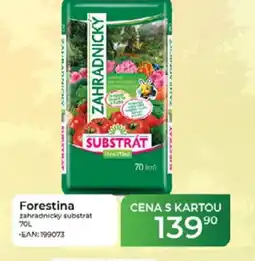 Tamda Foods Forestina zahradnický substrát nabídka